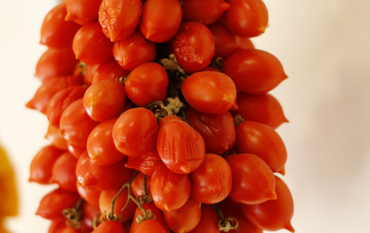3-Course Cooking Class in the Heart of Sorrento (Meat)
