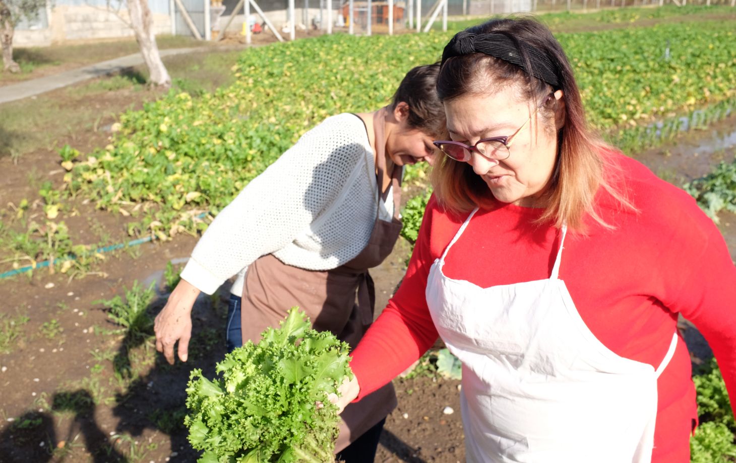 Cooking at the Farmhouse: 4-Course Seasonal Menu