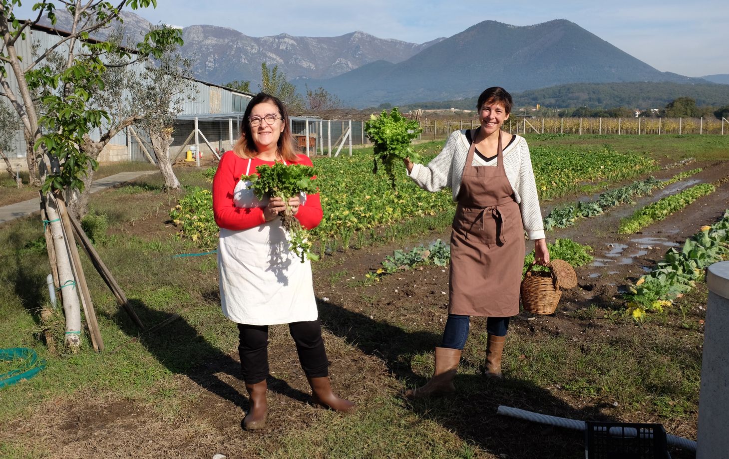Private Cooking at the Farmhouse: Traditional Neapolitan Menu in Benevento