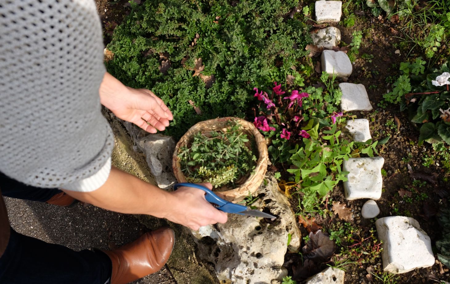 Private Cooking at the Farmhouse: Traditional Neapolitan Menu in Benevento