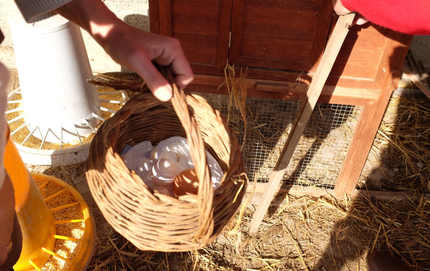Private Cooking at the Farmhouse: Traditional Neapolitan Menu in Benevento