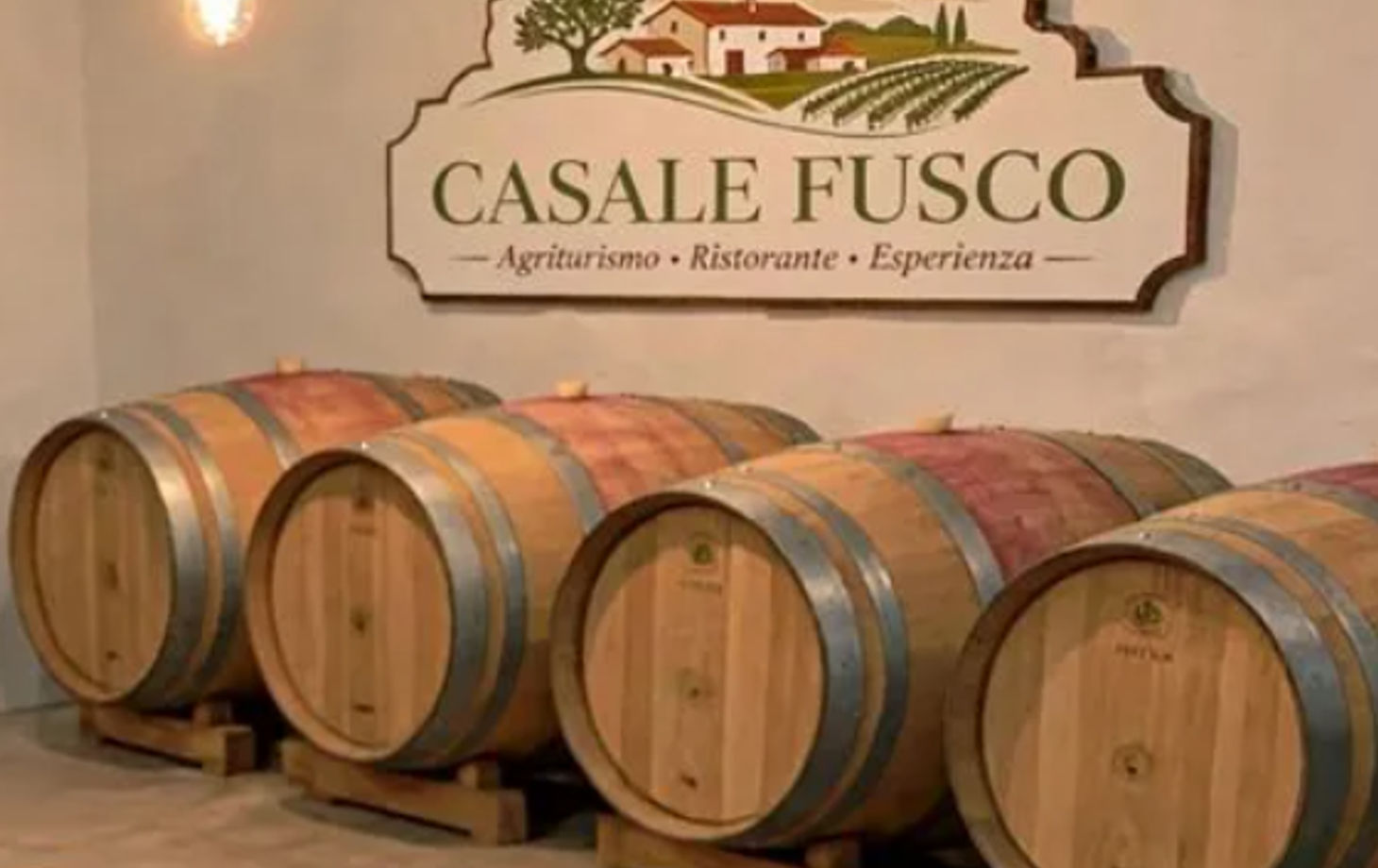 5-Day Cooking, Truffle Hunting & Wine Tasting Experience in Spoleto