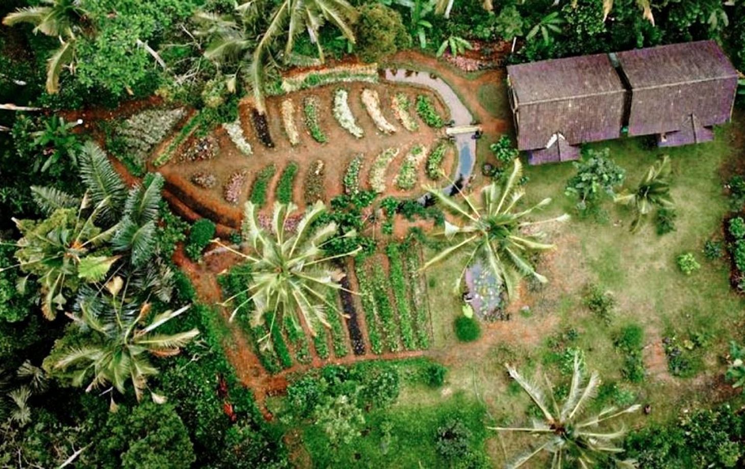 Vegan 7-Dish Cooking Class in Lush Organic Farm
