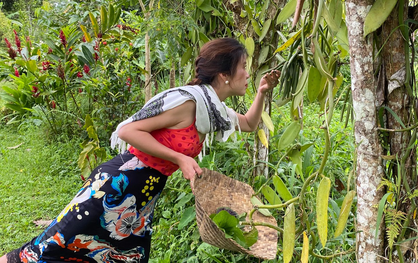 Vegan 7-Dish Cooking Class in Lush Organic Farm