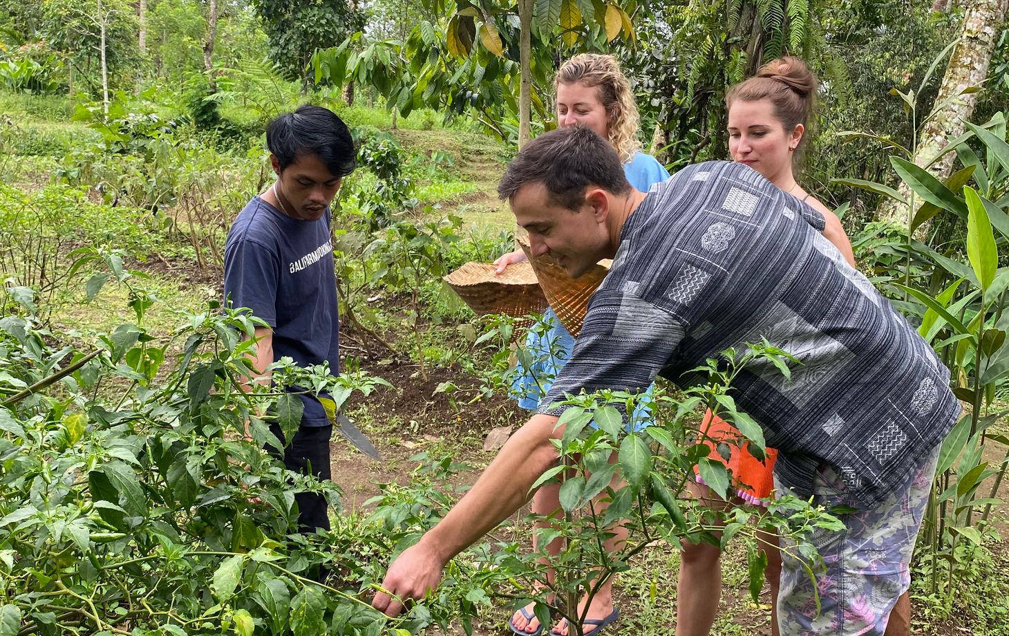 Vegan 7-Dish Cooking Class in Lush Organic Farm