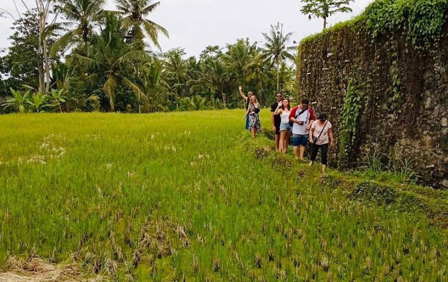 9 Dish Cooking Class + Market Tour + Rice Paddy Visit