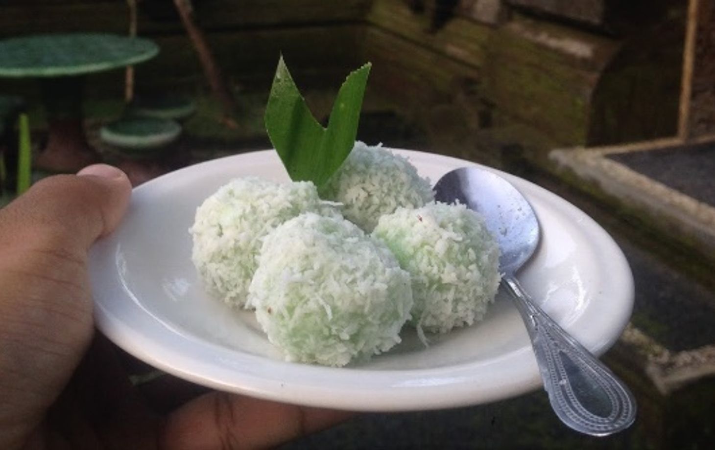 9 Dish Cooking Class + Market Tour + Rice Paddy Visit