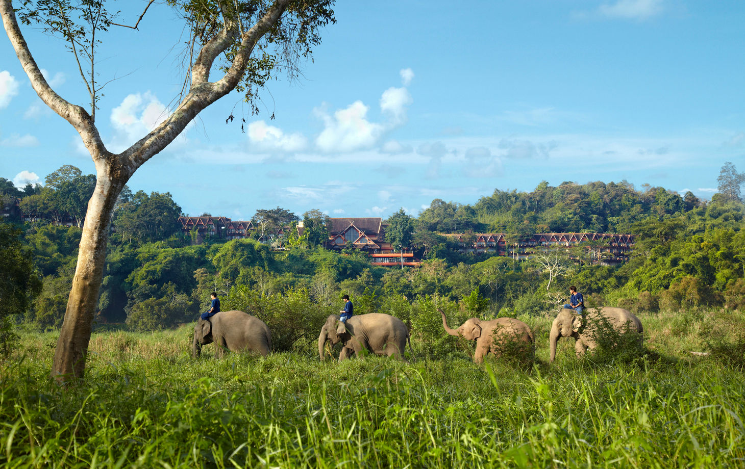 Spice Spoons |  A Thai Culinary Journey in Chiang Rai