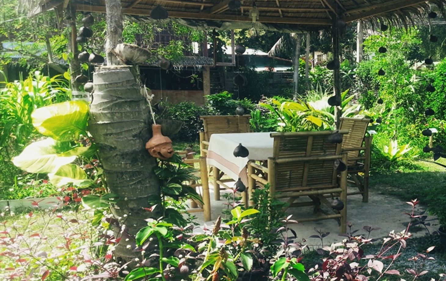 Thai Cooking Class with Organic Herb Garden Tour or Market Tour