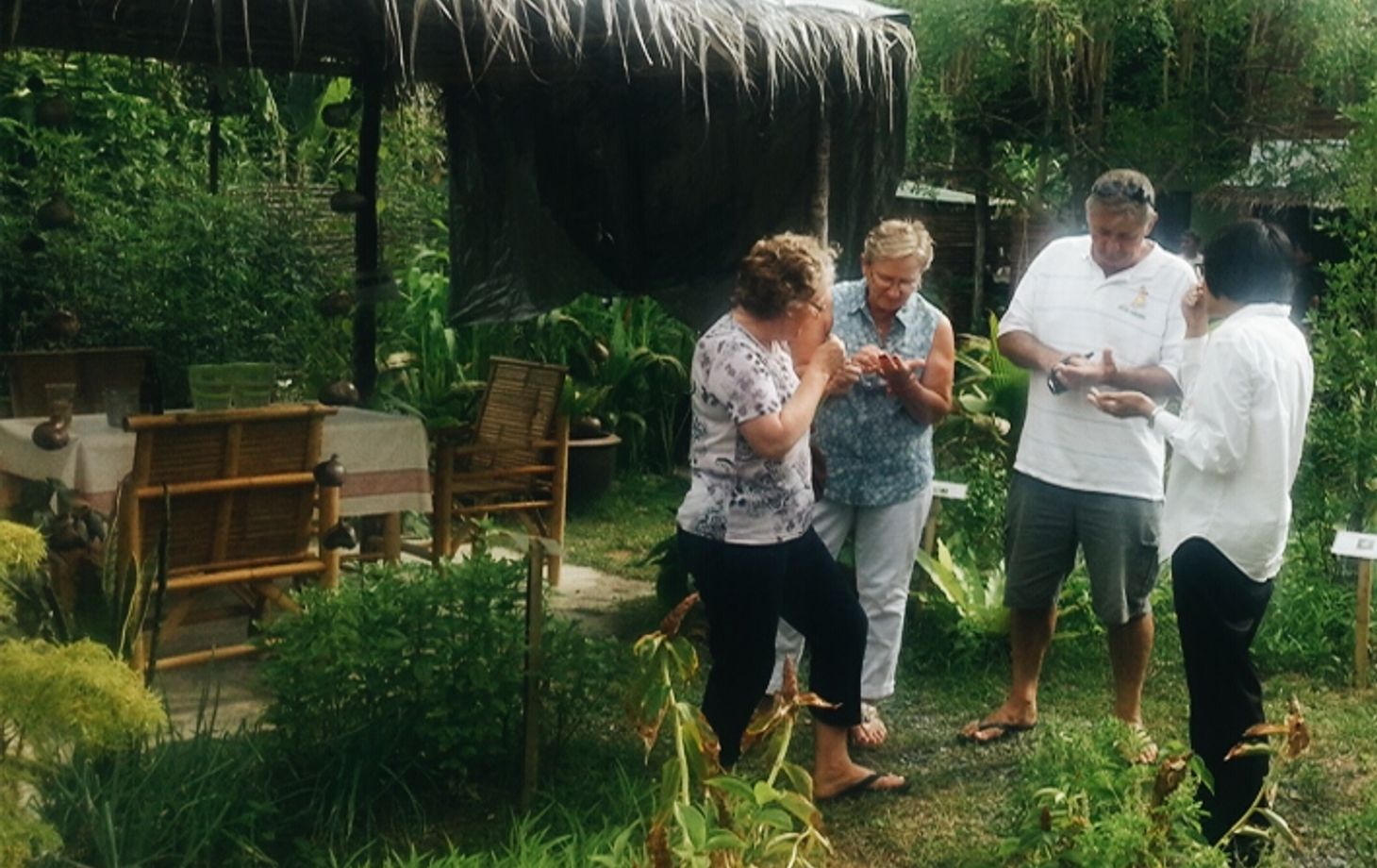 Thai Cooking Class with Organic Herb Garden Tour or Market Tour