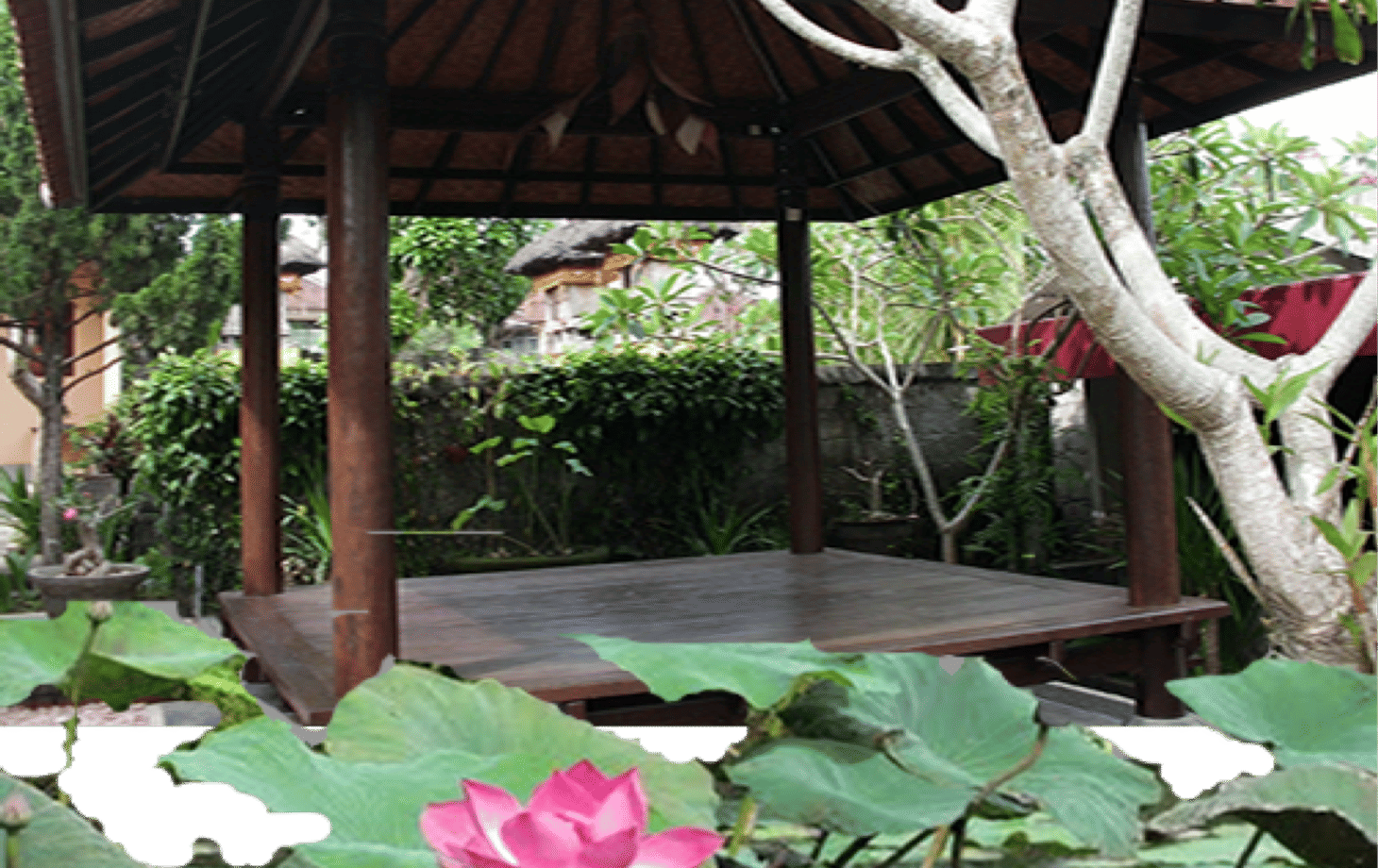 Cook 10 Balinese Dishes & Visit a Market
