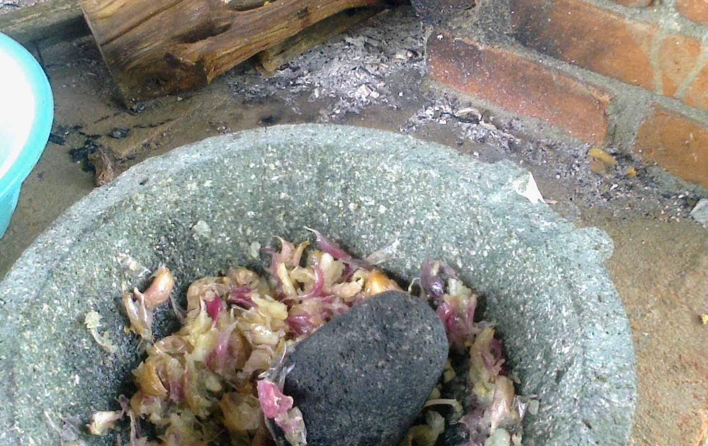 A Day of Oaxacan Plant Food Traditions with a Renowned Chef