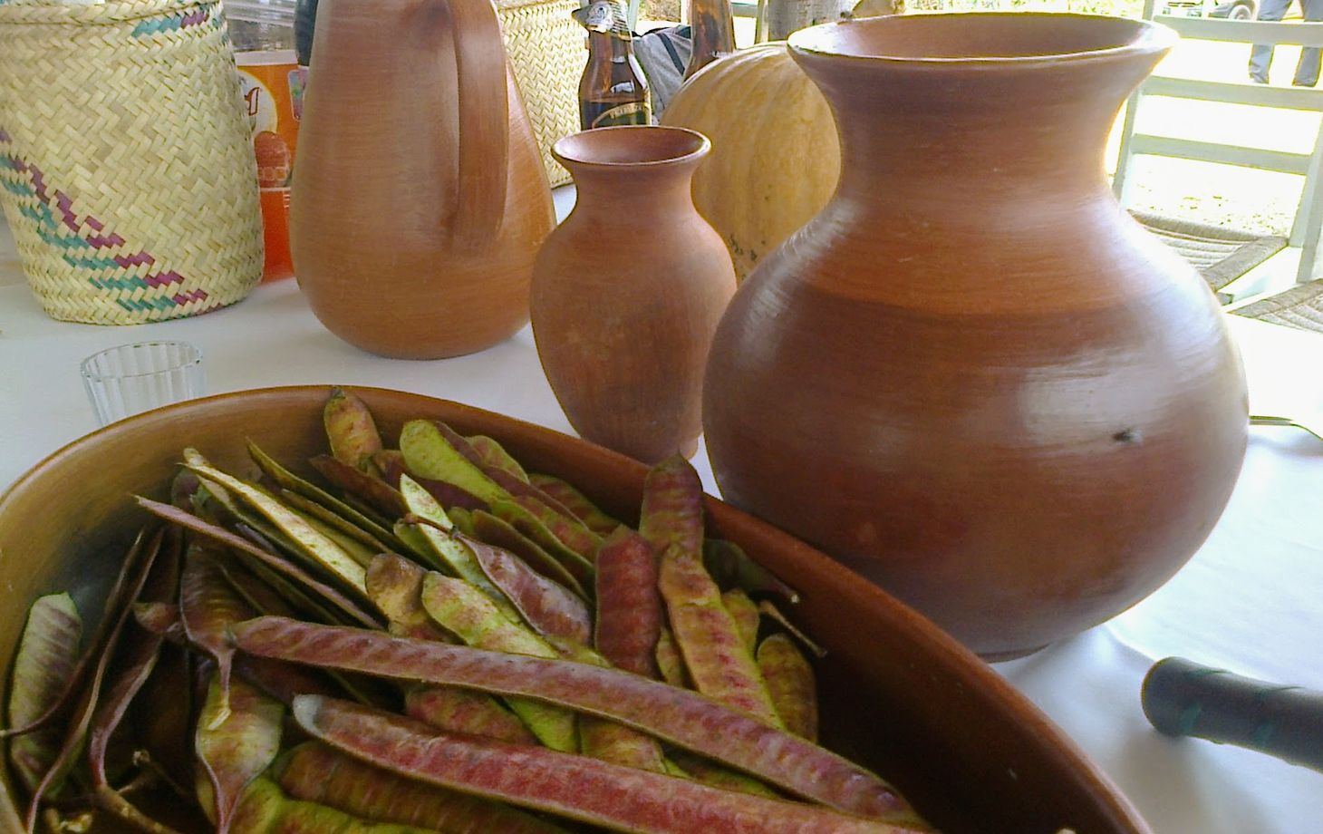A Day of Oaxacan Plant Food Traditions with a Renowned Chef