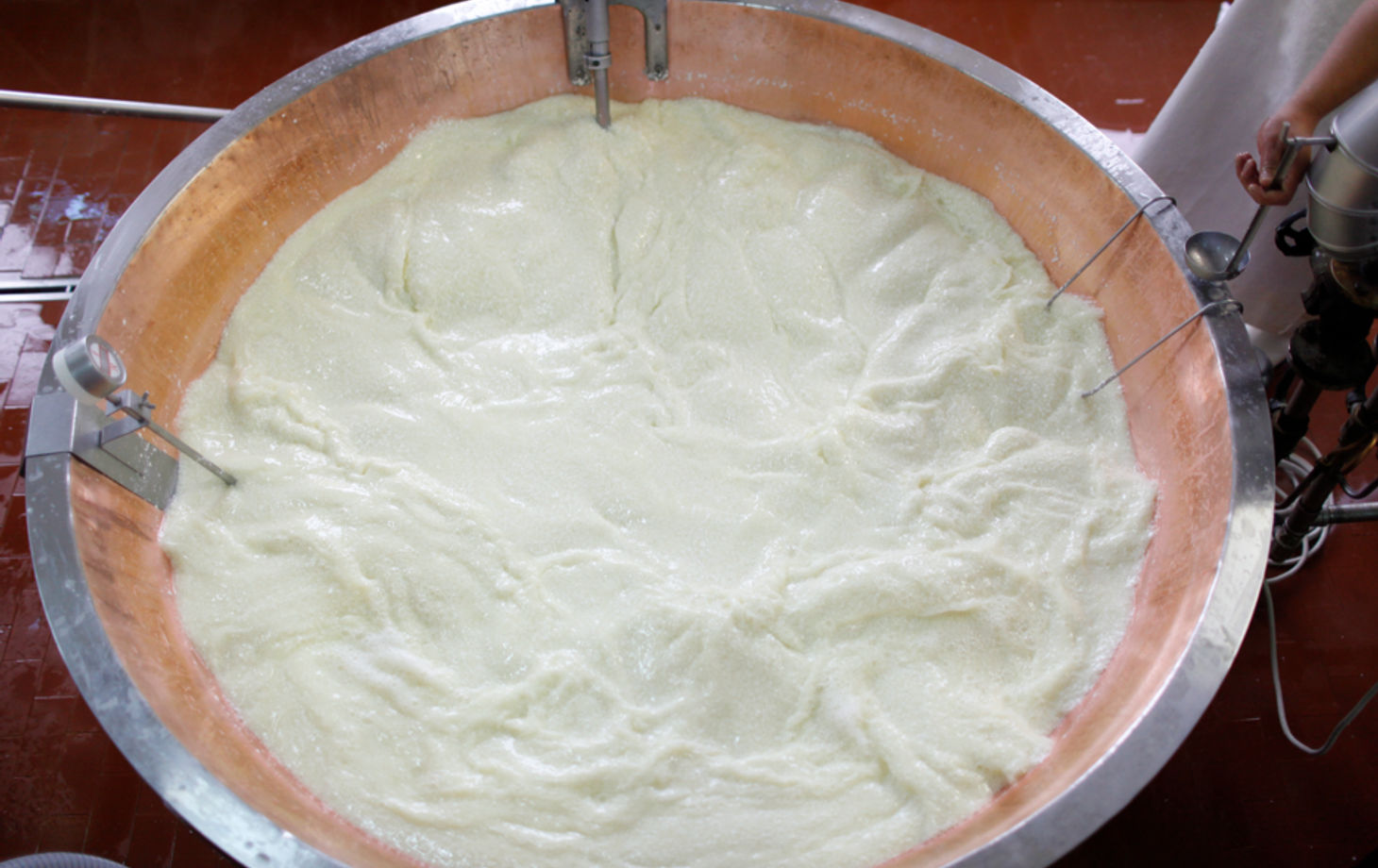 A Guided Tour to Experience the Best Parmigiano Reggiano Tasting