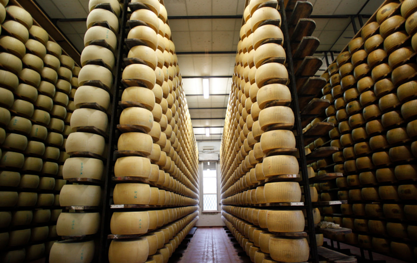 A Guided Tour to Experience the Best Parmigiano Reggiano Tasting