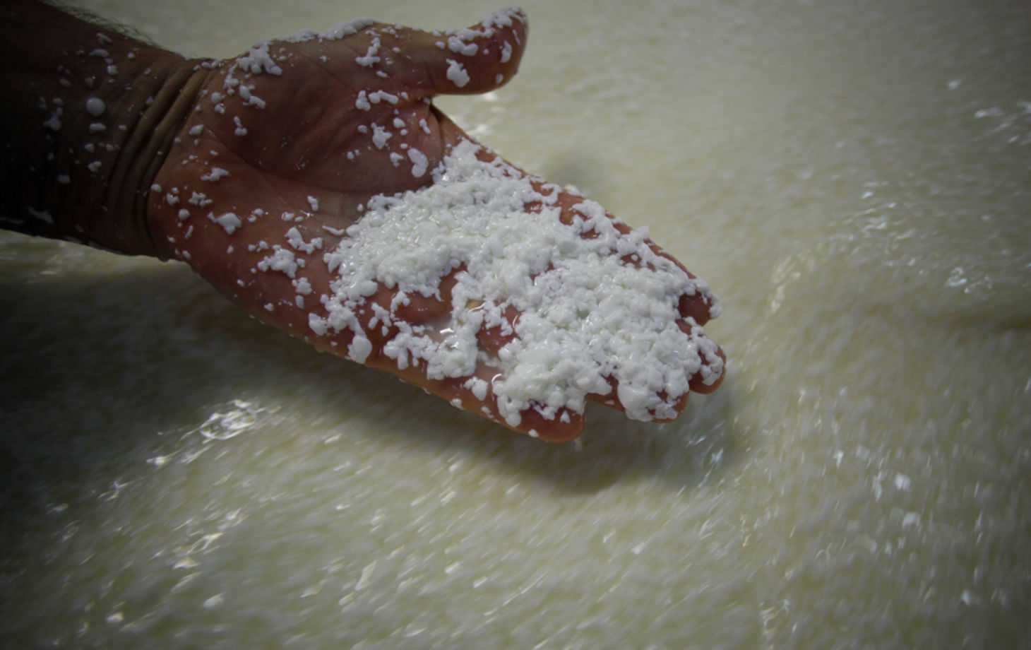A Guided Tour to Experience the Best Parmigiano Reggiano Tasting
