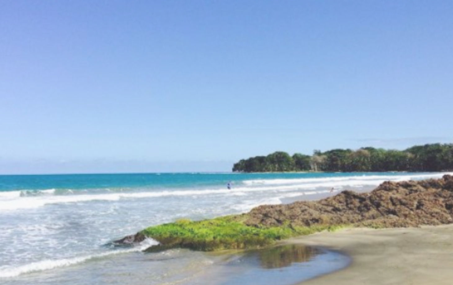 A Journey Through Coastal Delights in Puerto Viejo