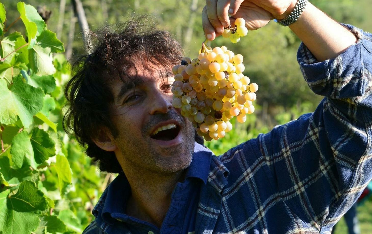 Biodynamic Wines & Organic Feast: Uncork Nature's Bounty at Stunning Vineyard