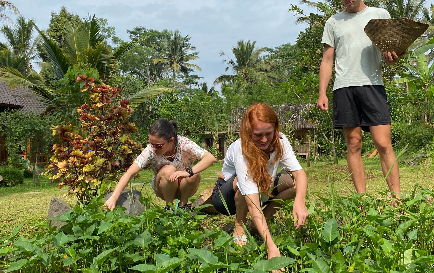 Advanced Balinese Cooking Class on Organic Farm - Afternoon and Evening Class
