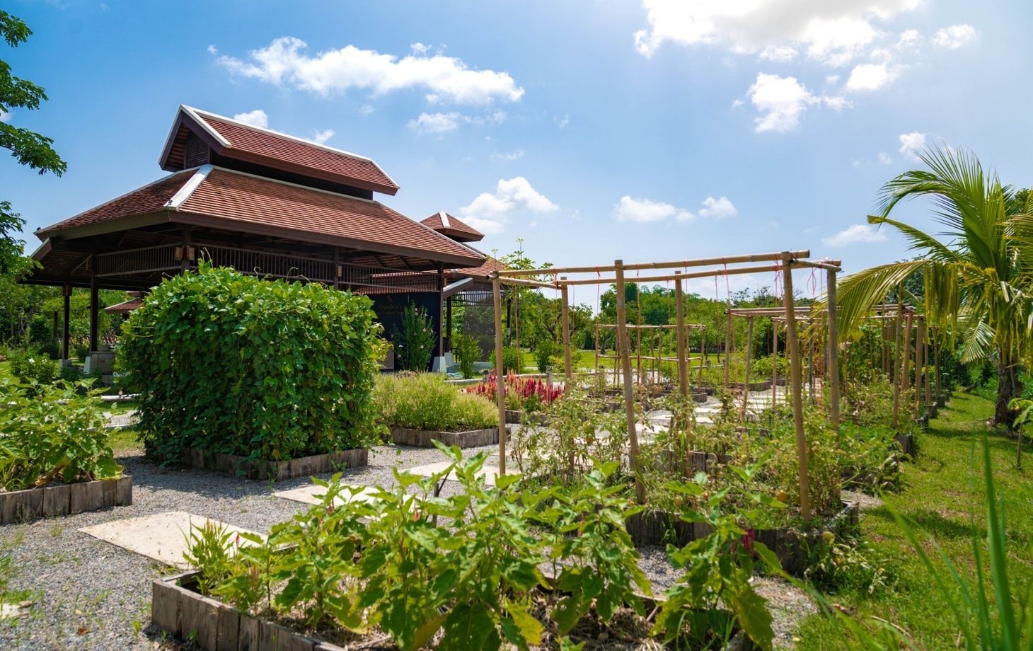 Cours de l'après-midi dans un pavillon traditionnel avec un magnifique jardin
