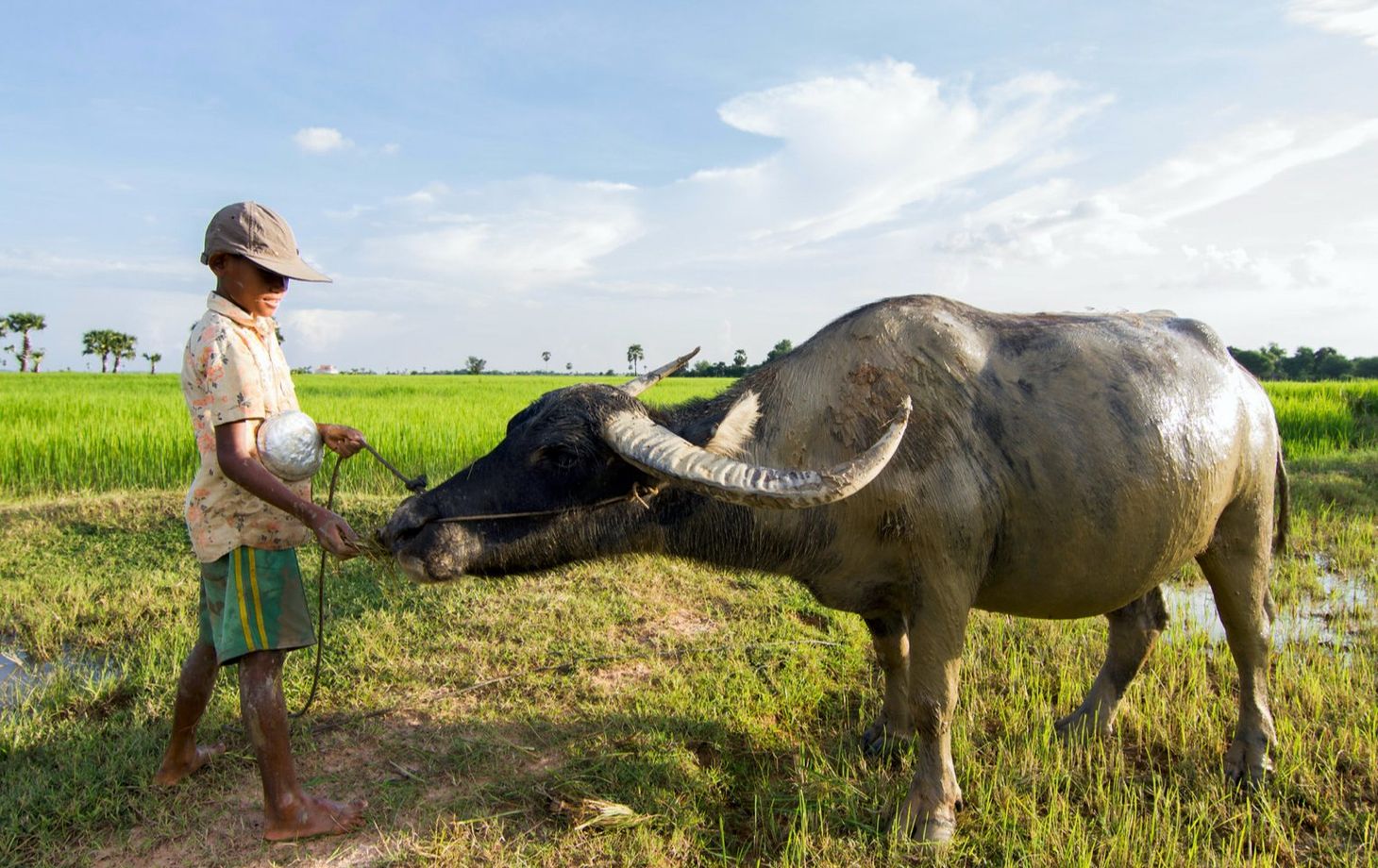 An Afternoon Farm-to-Table Khmer Cooking Experience in Siem Reap