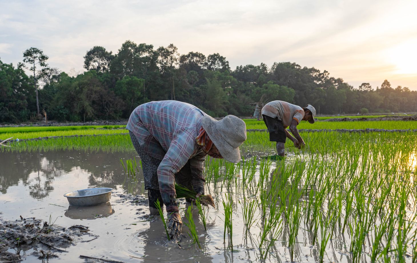 An Afternoon Farm-to-Table Khmer Cooking Experience in Siem Reap