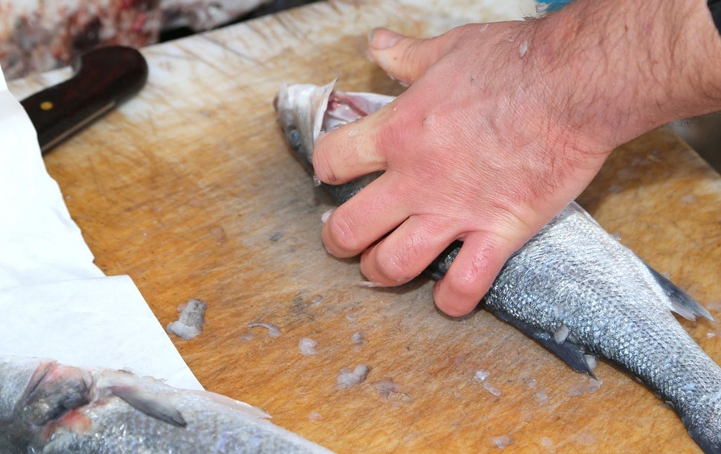 All Inclusive Small Group Day Trip from Venice: Organic Farm Visit & Seafood Prosecco Lunch