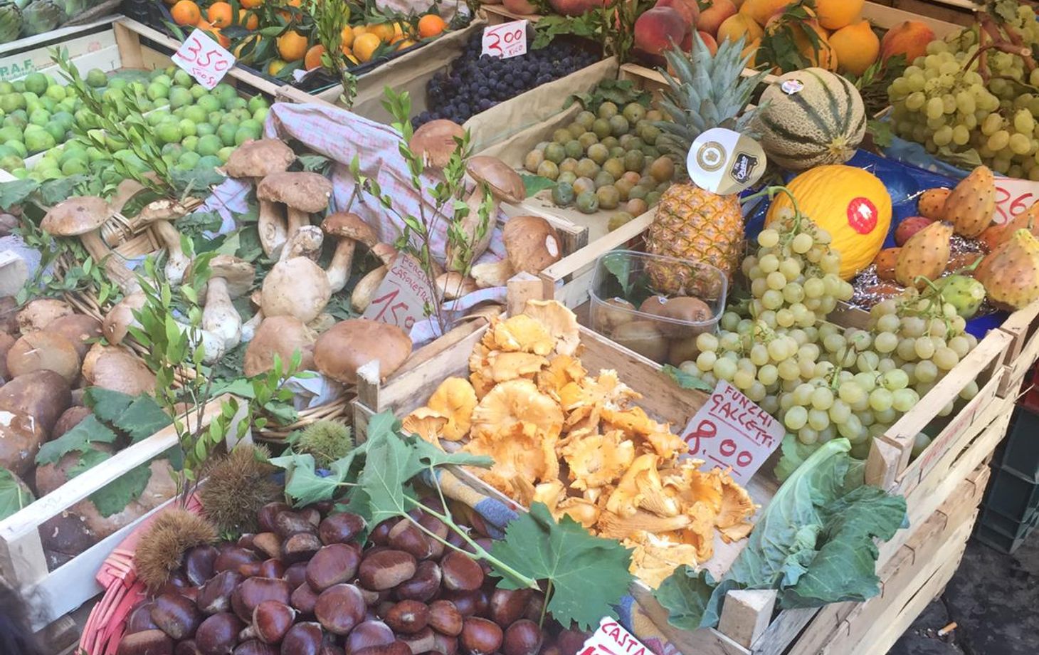 Antignano Local Market Tour with Giorgia Chiatto Private Class