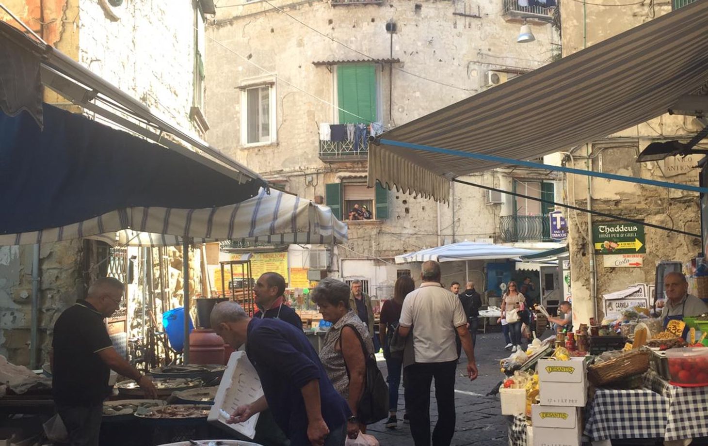 Antignano Local Market Tour with Giorgia Chiatto