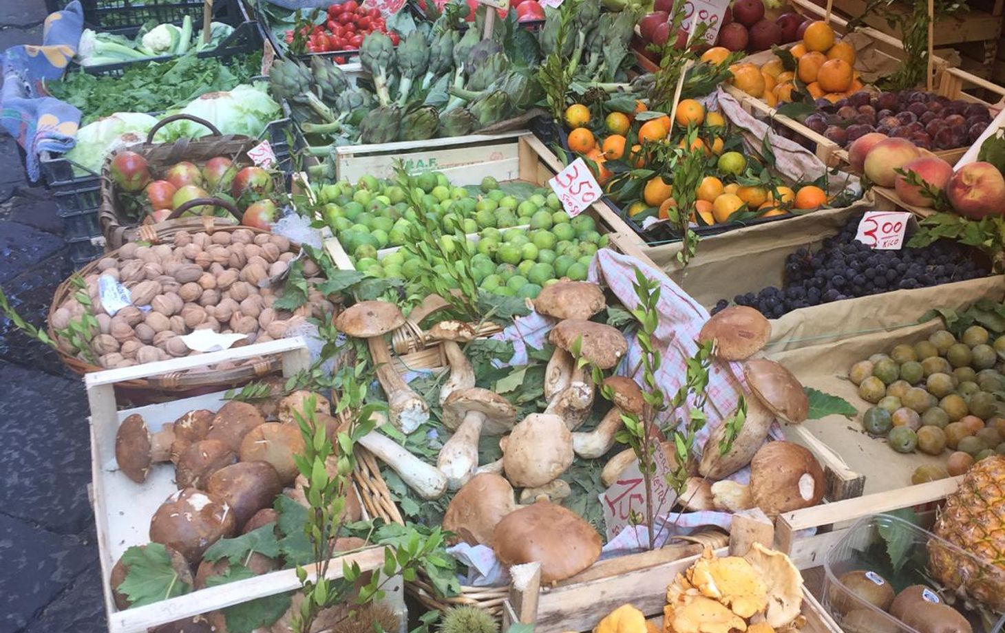 Antignano Local Market Tour with Giorgia Chiatto