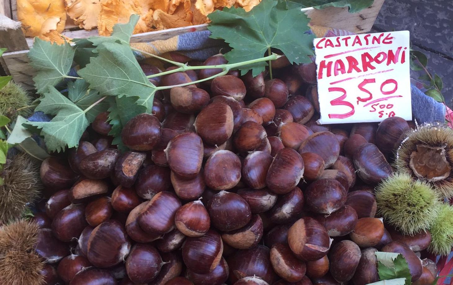 Antignano Market Tour and Hands-on Cooking Session with Giorgia Chiatto Private Class