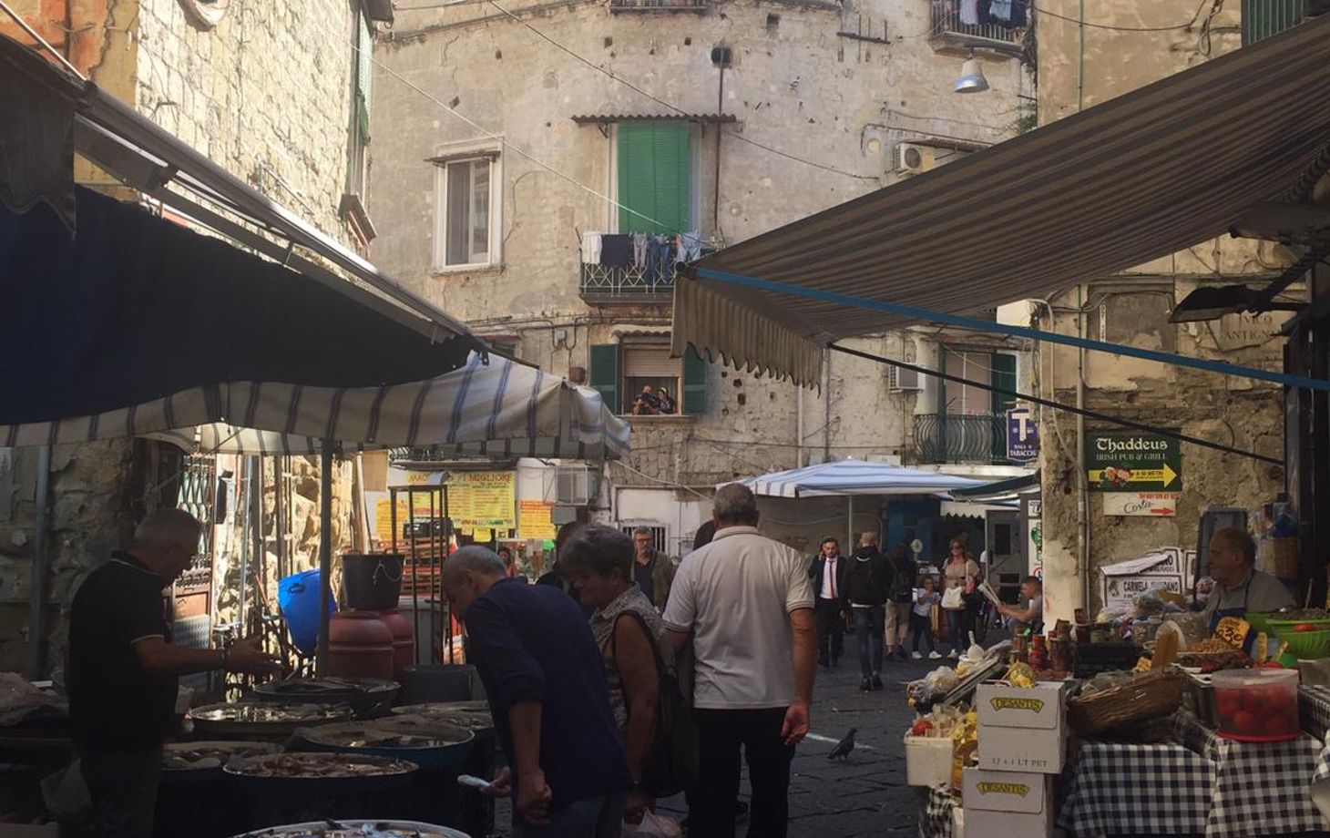 Antignano Market Tour and Hands-on Cooking Session with Giorgia Chiatto