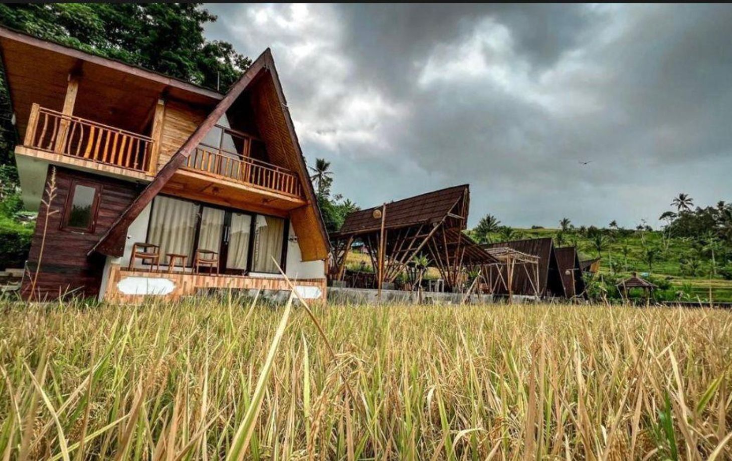 Authentic Balinese Cooking & Jatiluwih Rice Terrace Trek (Cooking Class + 1 Night)