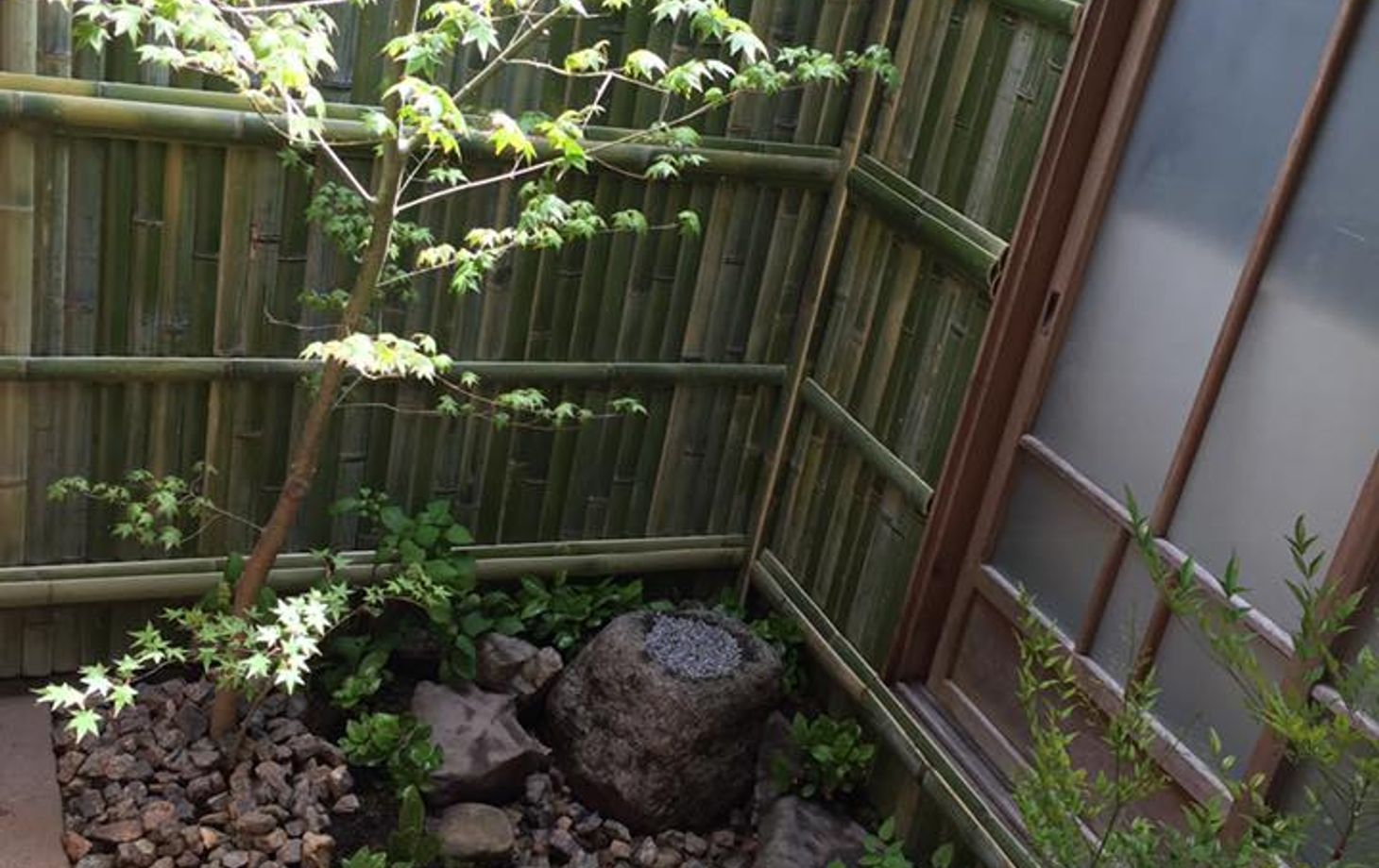 Authentic Tea Ceremony near Golden Pavilion Kyoto