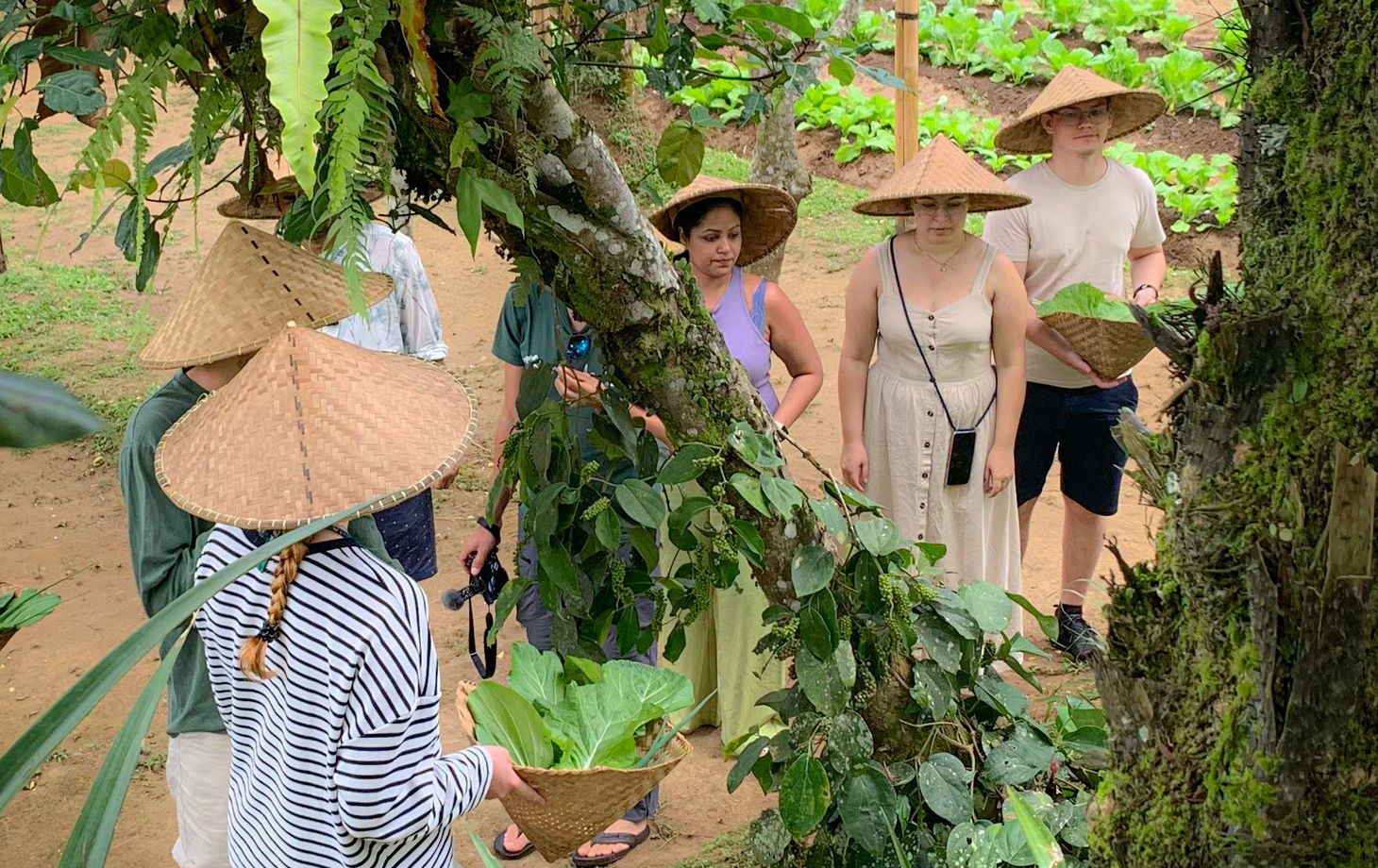 Balinese Afternoon Cooking Class in a Family Farm