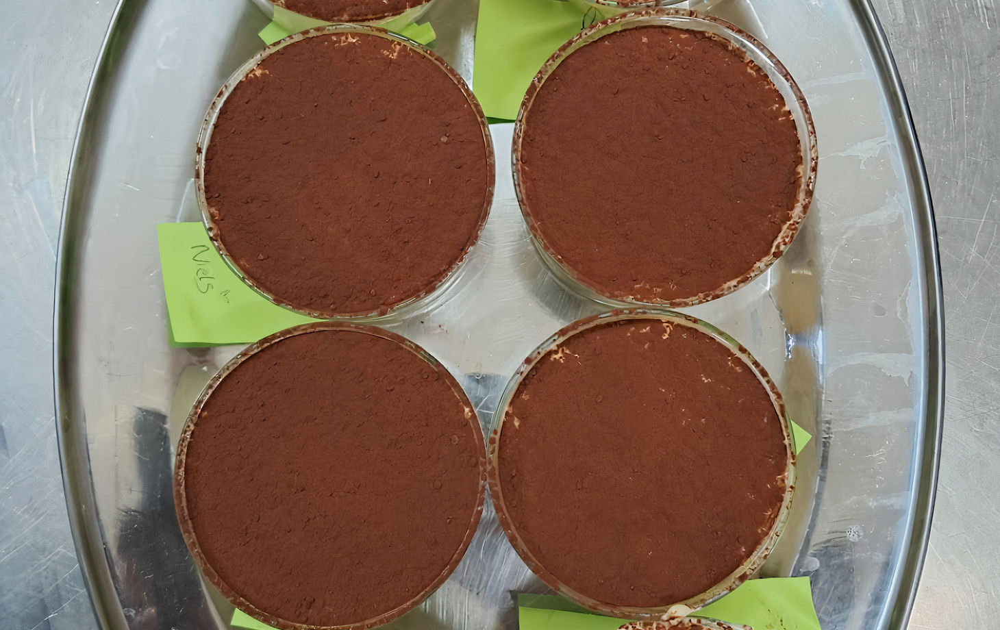 Authentic Pasta and Tiramisù Cooking Class with Wine in Bari