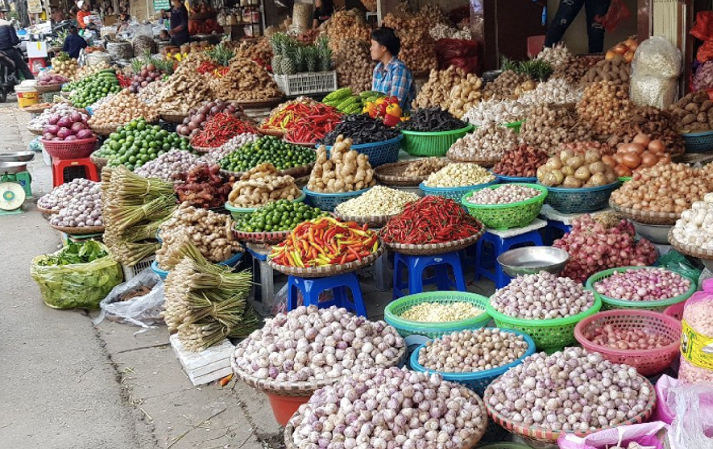 Vietnamese Cooking Class with Market Tour