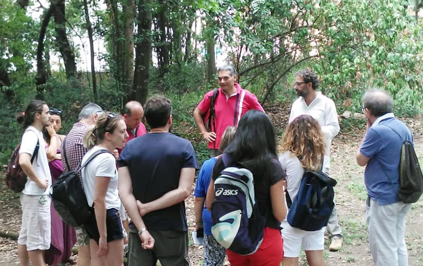 Discover Edible Wild Plants on a Botanical Walk