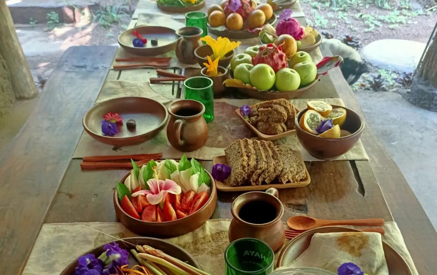 SHAYA Junglekitchen - The Plant Based Food Hunters with KIDS Academy
