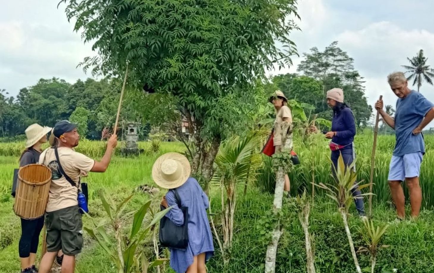 SHAYA Junglekitchen - The Plant Based Food Hunters with KIDS Academy