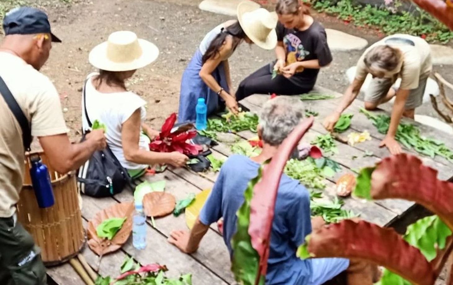 SHAYA Junglekitchen - The Plant Based Food Hunters with KIDS Academy
