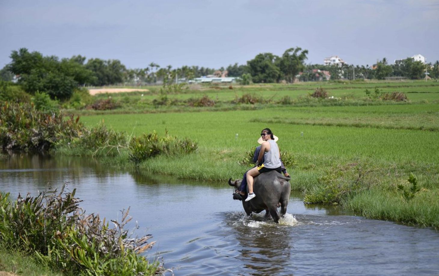 Free Transfer From Danang: Basket Boat Riding, Buffalo Riding and Cooking Class