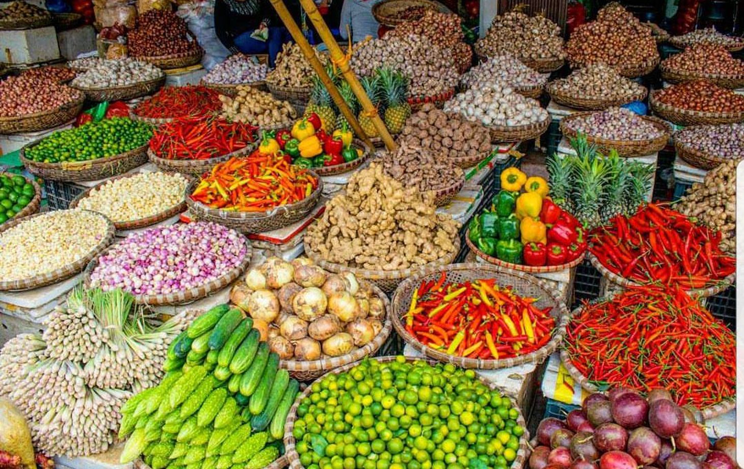 Vietnamese Home Cooking Class with a Local Chef & Fresh Market Tour
