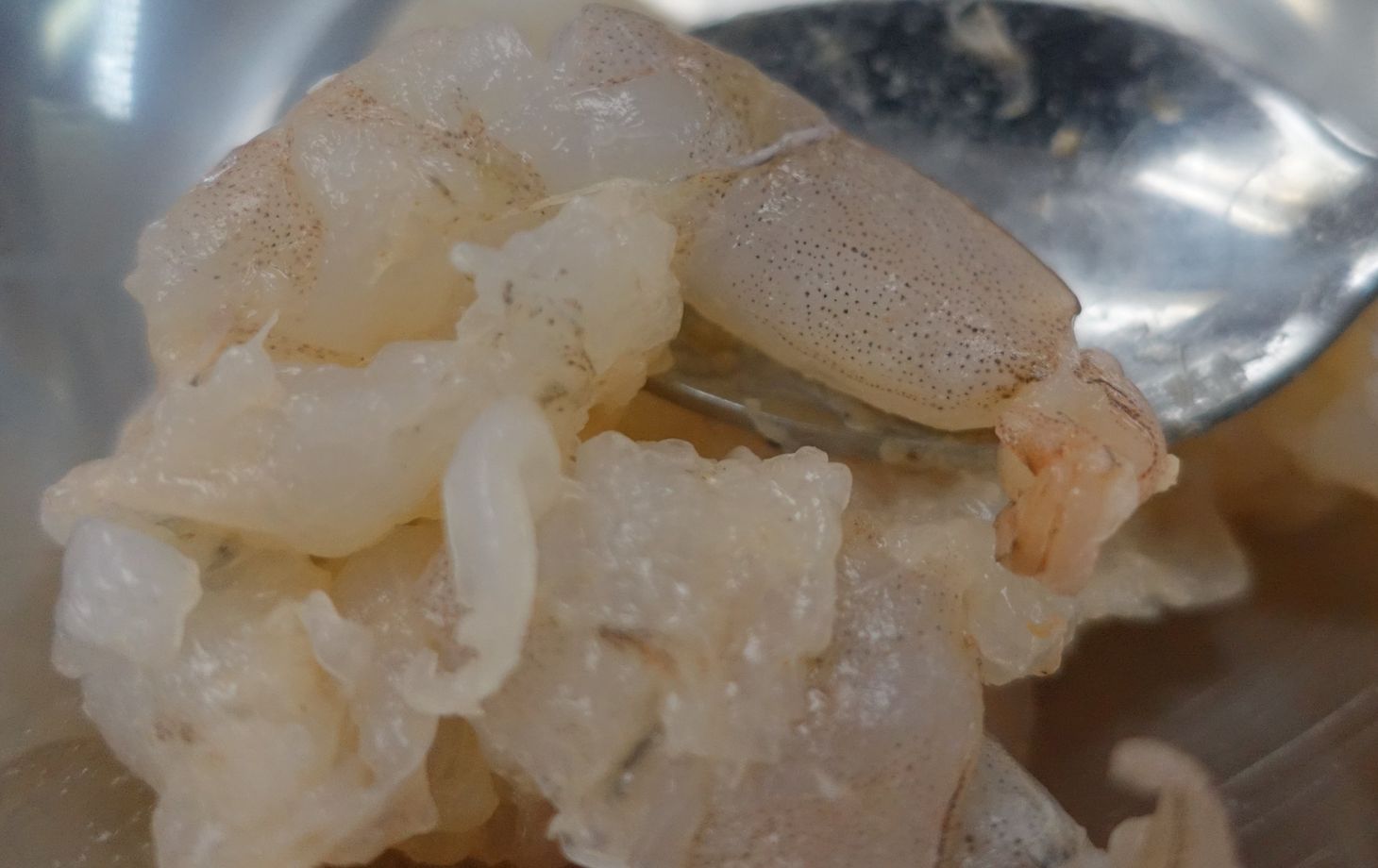 中華風蒸しパンと焼きパンケーキ、フラワーティー添え（ヴィーガンまたは非ヴィーガン）