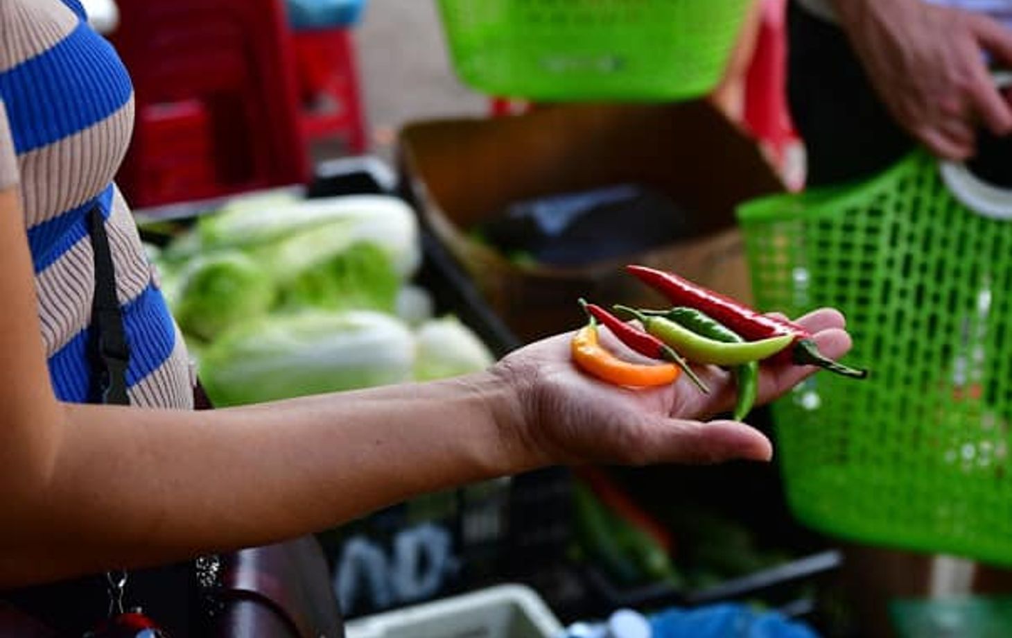 "Choose Your Own Menu" Vietnamese Cooking Class with Market Tour