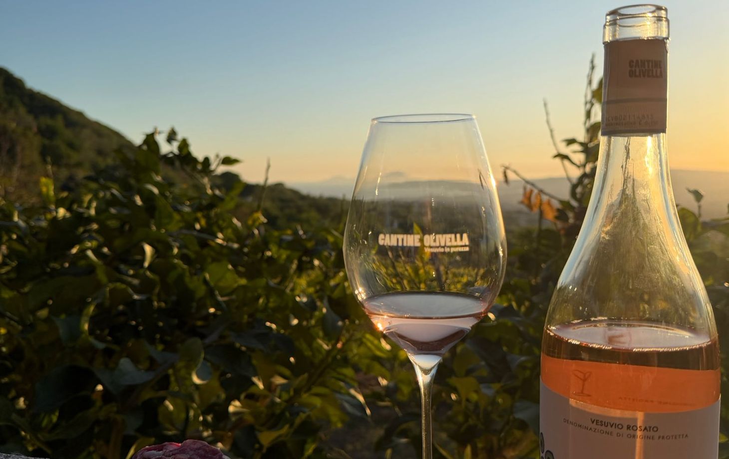 Mount Vesuvius Wine Tasting with Vineyard Views & Traditional Lunch Experience