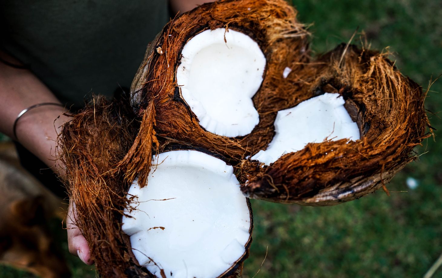 Make Your Own Organic Coconut Oil in a Traditional Balinese Village