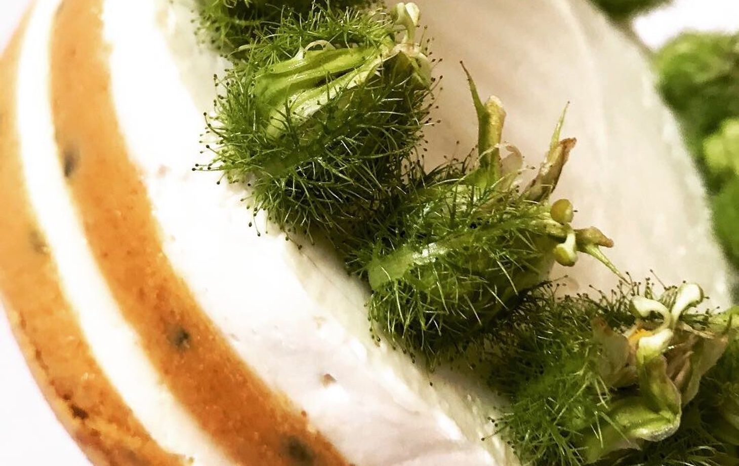 Contemporary Raw and Vegan Desserts Class