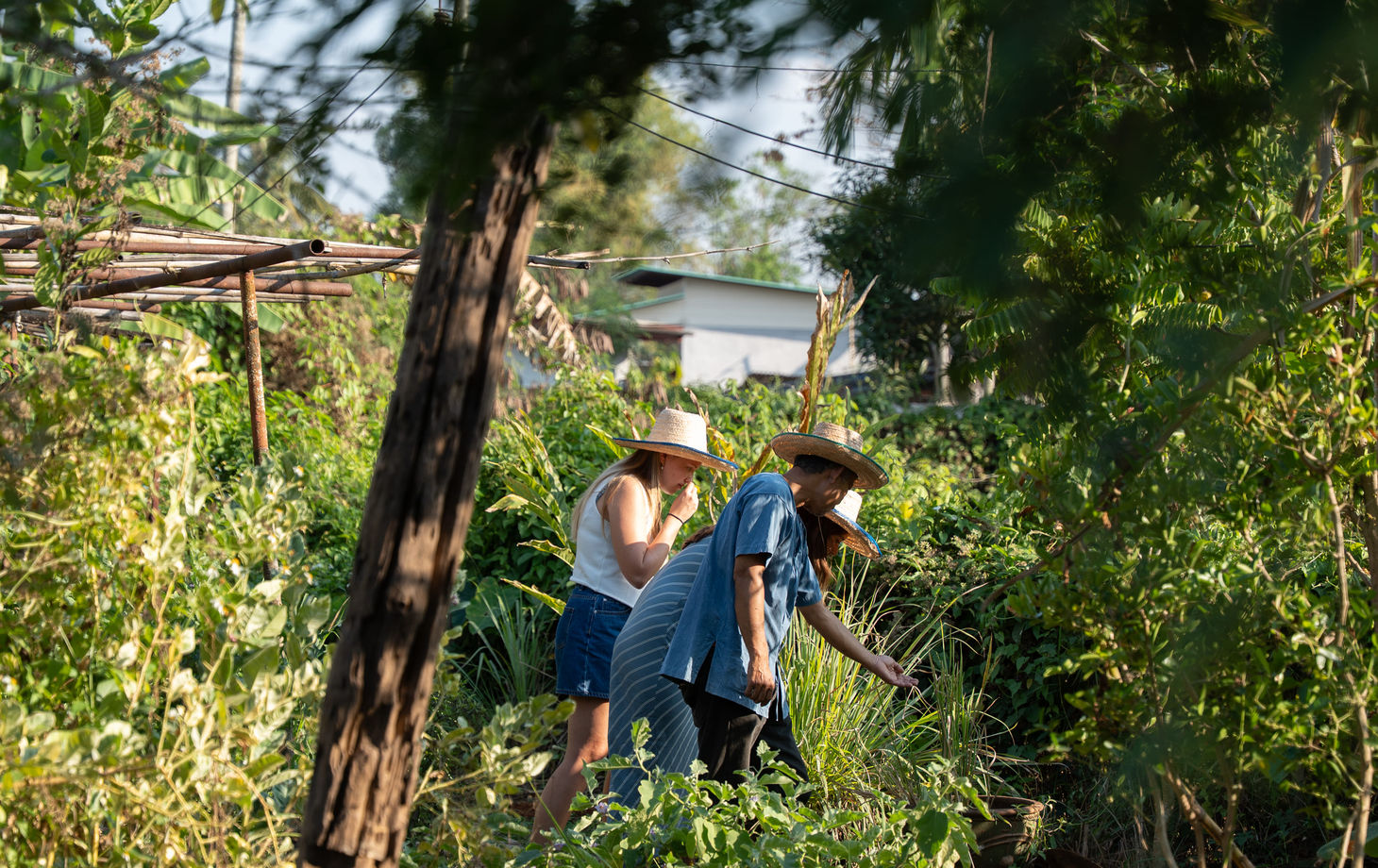 Cooking Experience with a Local Organic Farmer & Fresh Market Visit
