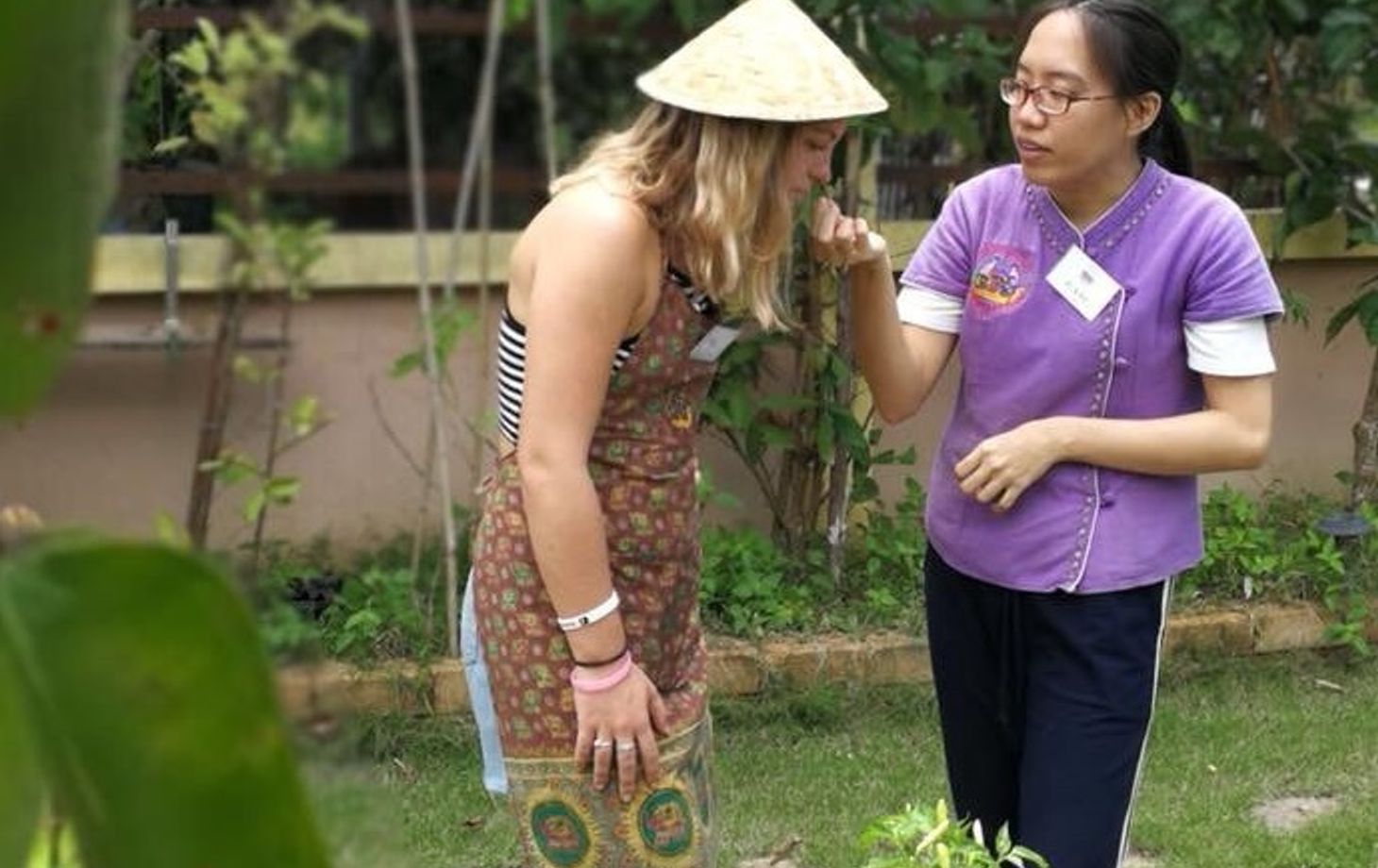 Private Class Morning & Evening with Fresh Ingredients at Organic Garden & Market
